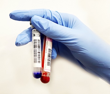 Pack Regalo Navidad Mascota. Reconocimiento